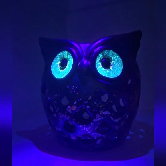 Hand Painted Decorative Owl - Picture 8 of 11